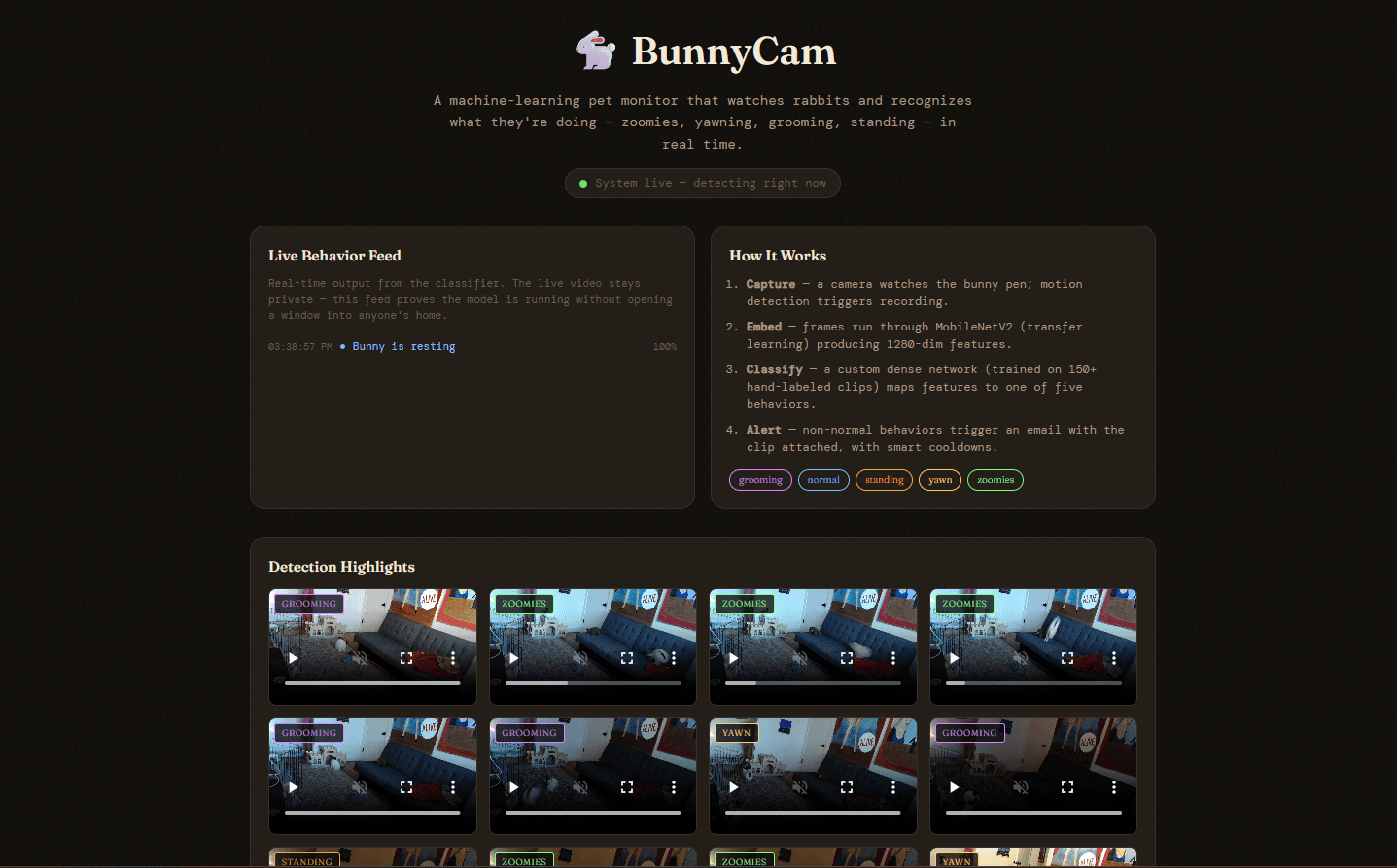 Bunny Tracker screenshot